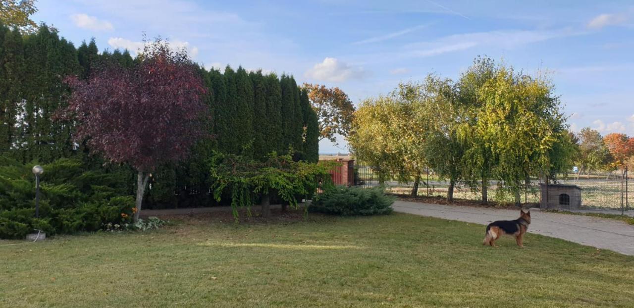 Białowolskie Wzgórze Zamość Exterior foto
